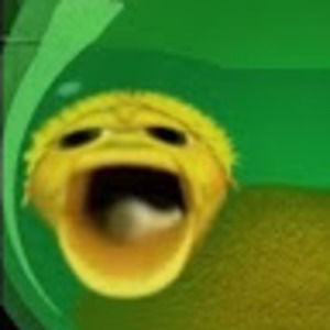 Meet your Posher, Wyatt